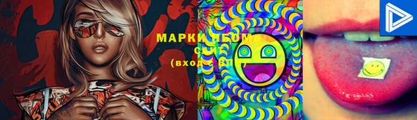 СК Кукмор