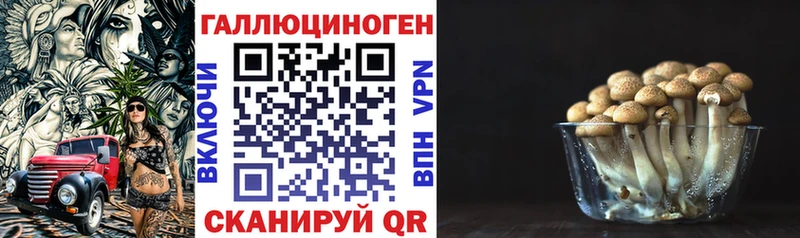 Купить закладки  Костомукша  Галлюциногенные грибы Magic Shrooms 