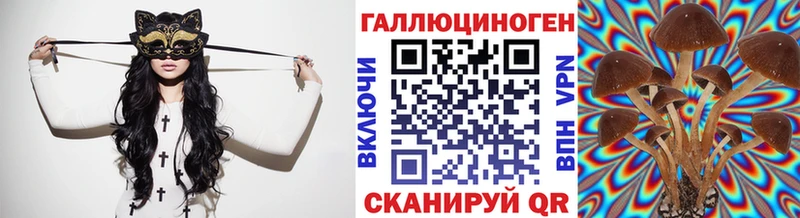 Галлюциногенные грибы Psilocybe Костомукша